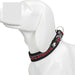 Nylon Reflective Collar With Duraflex Buckle