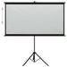 Projection Screen With Tripod 120’ 16:9 Poaop