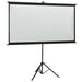 Projection Screen With Tripod 90’ 16:9 Poaox