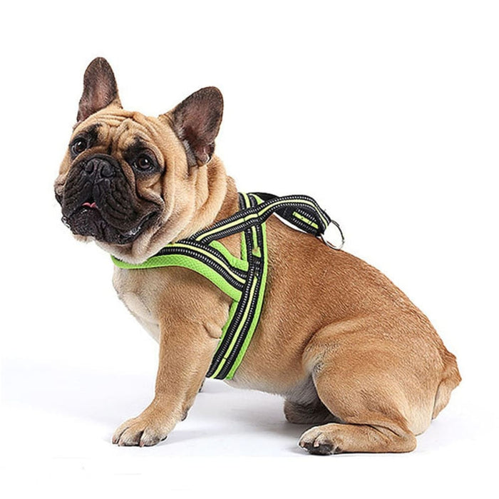 Reflective Soft Mesh Padded Harness With o Ring