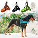 Reflective Soft Mesh Padded Harness With o Ring