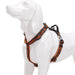 Reflective Sport Padded Breathable Mesh Harness