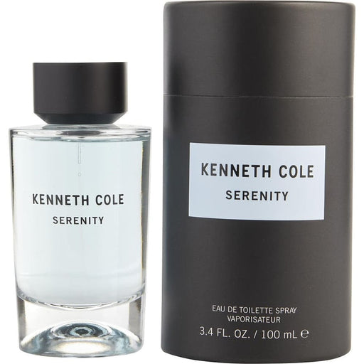 Serenity Edt Spray By Kenneth Cole For Men - 100 Ml