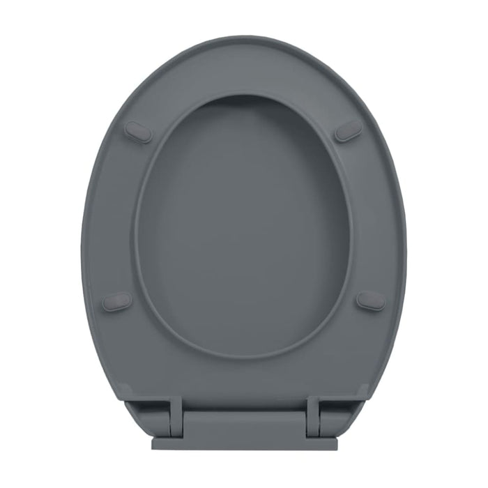 Soft-close Toilet Seat Grey Oval Oapnol