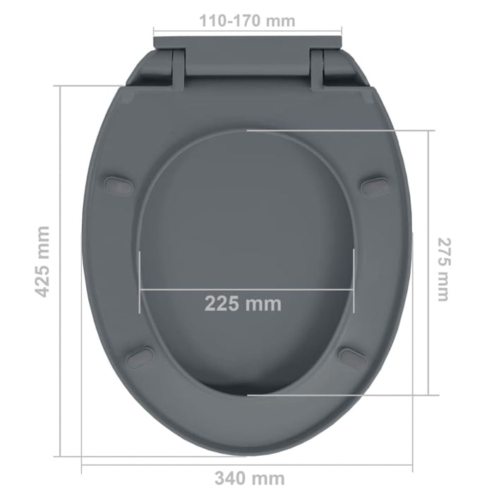 Soft-close Toilet Seat Grey Oval Oapnol