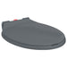 Soft-close Toilet Seat Quick Release Grey Oval Oapnoi