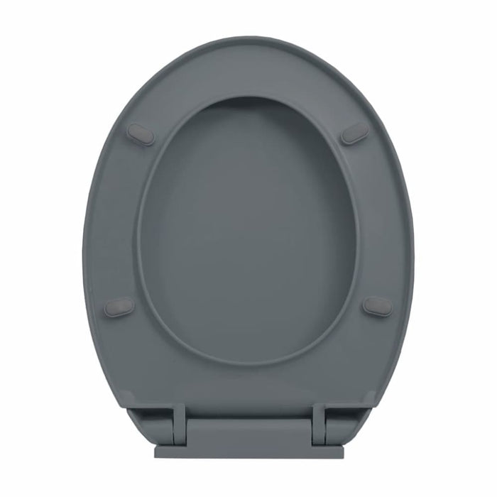 Soft-close Toilet Seat Quick Release Grey Oval Oapnoi