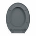 Soft-close Toilet Seat Quick Release Grey Oval Oapnoi