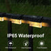 Solar Power Waterproof Rgb + warmwhite Fence Light