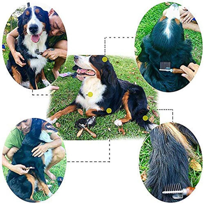 Stainless Steel Eco-friendly Safe Fur Rake Dog Grooming