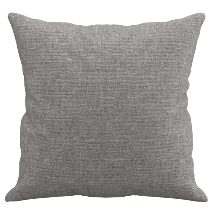 Throw Pillows 2 Pcs Light Grey 40x40 Cm Fabric Takaio