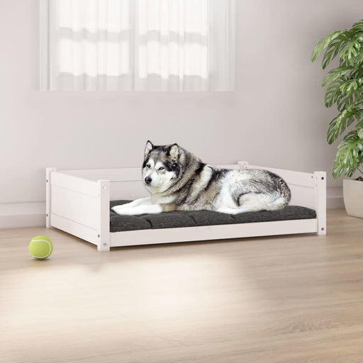 Dog Bed White 105.5x75.5x28 Cm Solid Pine Wood Nxoalt