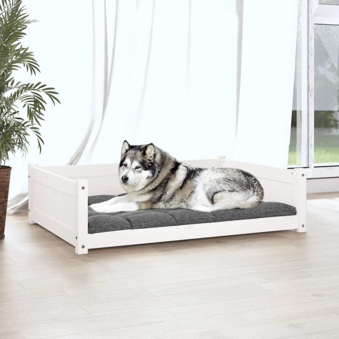 Dog Bed White 105.5x75.5x28 Cm Solid Pine Wood Nxoalt