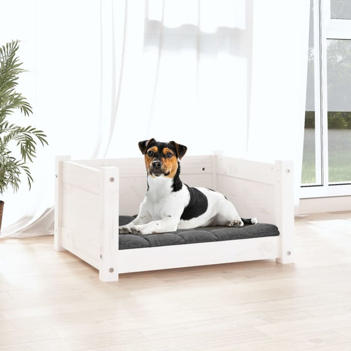 Dog Bed White 55.5x45.5x28 Cm Solid Pine Wood Nxoaat