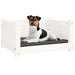 Dog Bed White 55.5x45.5x28 Cm Solid Pine Wood Nxoaat