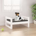 Dog Bed White 55.5x45.5x28 Cm Solid Pine Wood Nxoaln