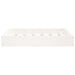 Dog Bed White 61.5x49x9 Cm Solid Wood Pine Nxbnpx