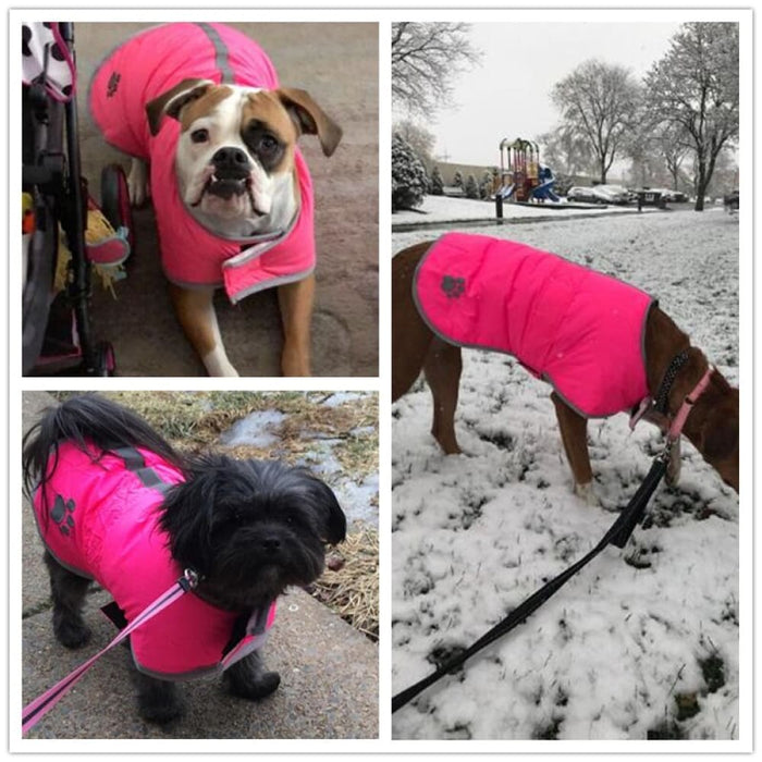 Winter Warm Reversible Reflective Waterproof Paw Print